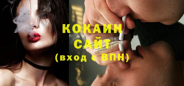шишки Магас