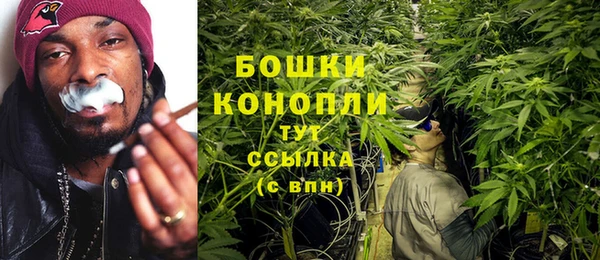 шишки Магас