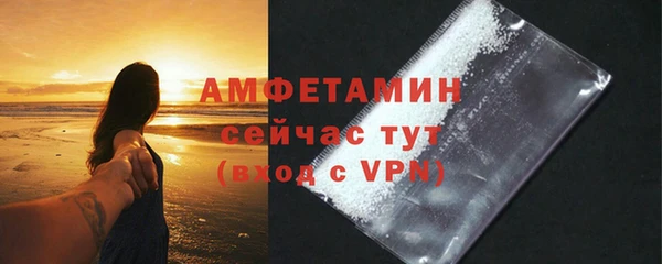 шишки Магас