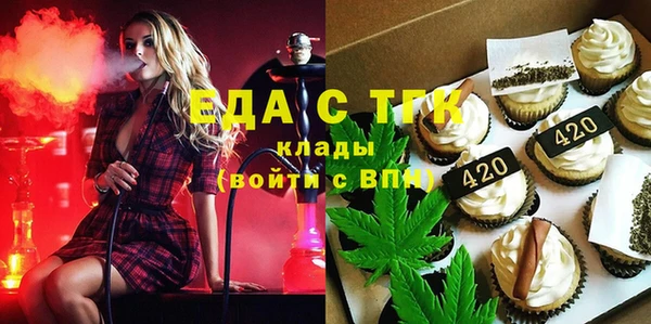 шишки Магас