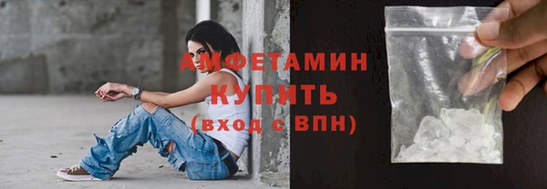 шишки Магас