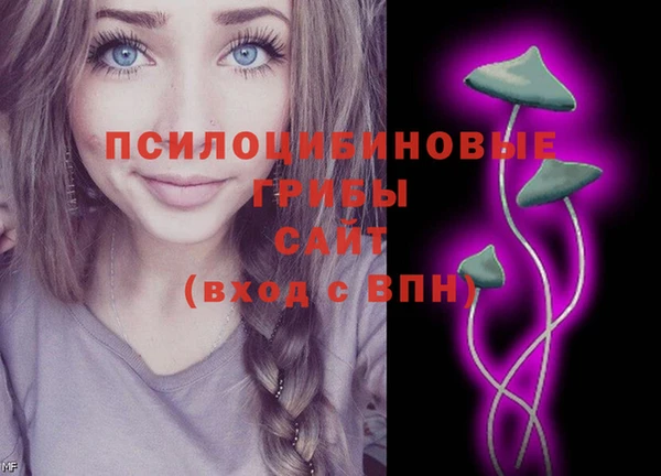 шишки Магас
