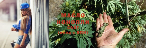 шишки Магас