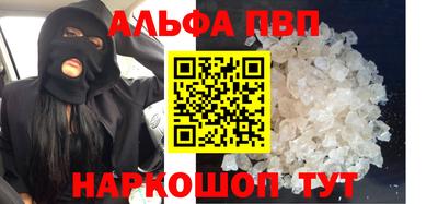 амф Кингисепп