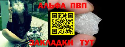 амф Кингисепп
