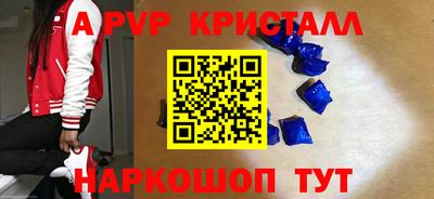 амф Кингисепп