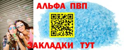 амф Кингисепп