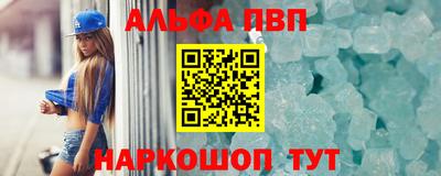 амф Кингисепп