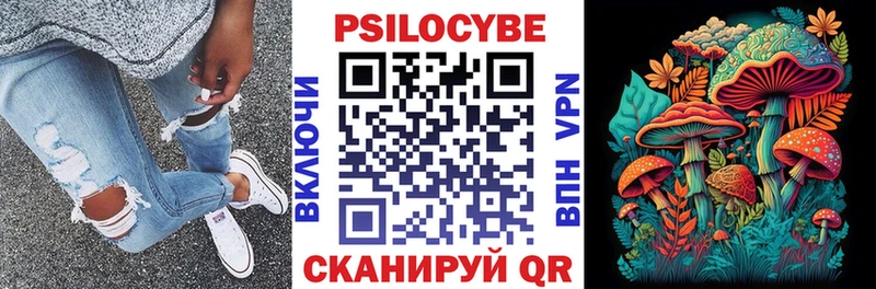 Галлюциногенные грибы Psilocybine cubensis Орск
