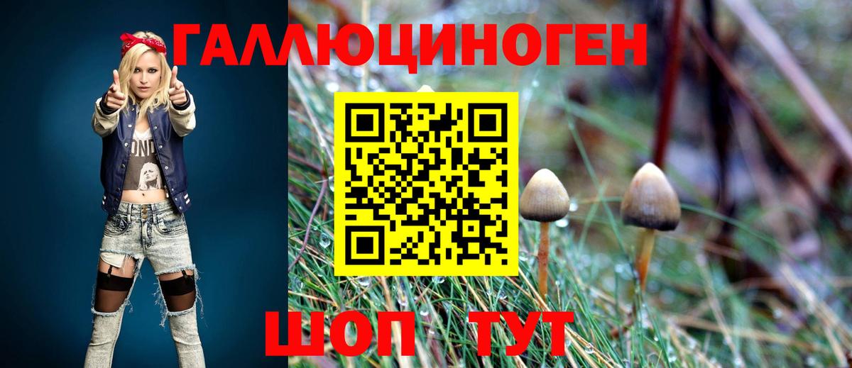 Галлюциногенные грибы мицелий Орск